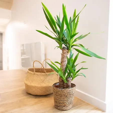 Cia - Maison De Avec Terrasse